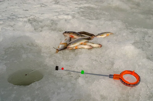 Pesca Hielo Principios Primavera Rusia Central — Foto de Stock