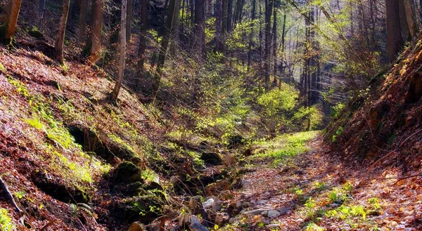 Belle Journée Ensoleillée Dans Vallée Entre Deux Collines Début Après — Photo