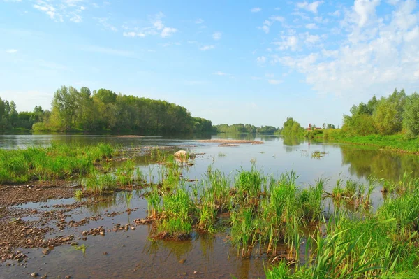 Hermoso Paisaje Verano Con Río — Foto de Stock