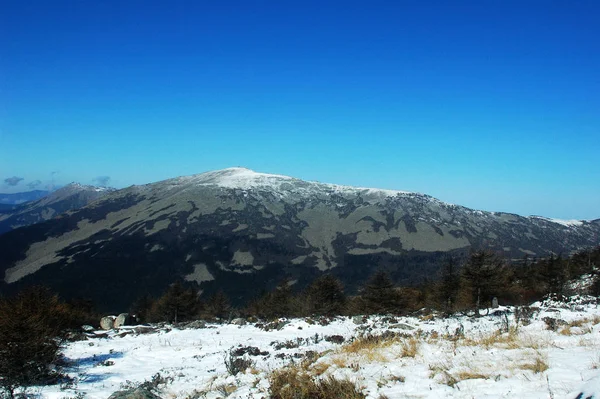 冬の雪に覆われた山々の風景 — ストック写真