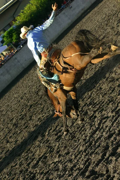 Jinete Una Adrenalina Salvaje Montando Caballo Rodeo —  Fotos de Stock