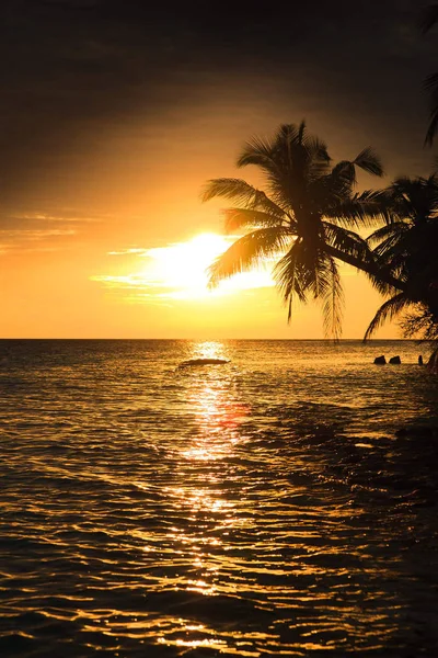 Coucher Soleil Maldivien Image Avec Belle Couleur — Photo