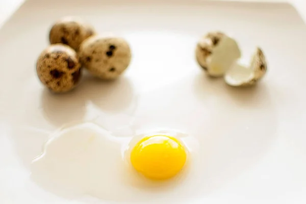 Uova Quaglia Biologiche Fresche Sane — Foto Stock