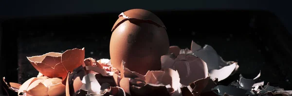 砕いた殻と卵の全体の束のコントラストの高い照明とローライト — ストック写真
