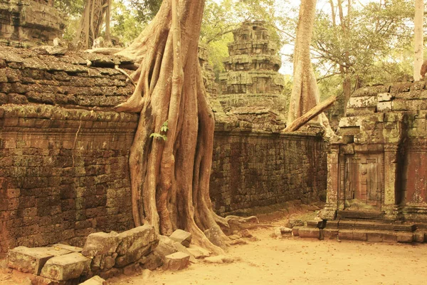 Promh Temple Angkor Area Siem Reap Camboja — Fotografia de Stock