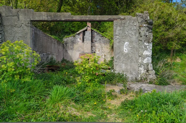Una Casa Campo Irlandesa Abandonada Frente Mar —  Fotos de Stock