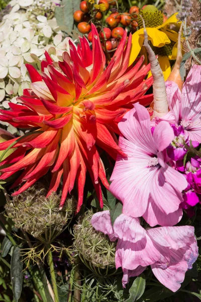 Krásné Kytice Květin Bylin — Stock fotografie