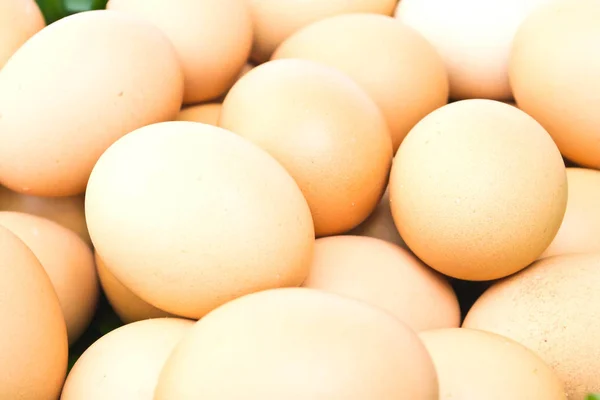 Uovo Sfondo Bianco — Foto Stock