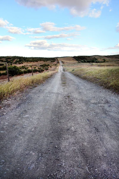 View Dirt Road Countryside Region Algarve — Stock Photo, Image