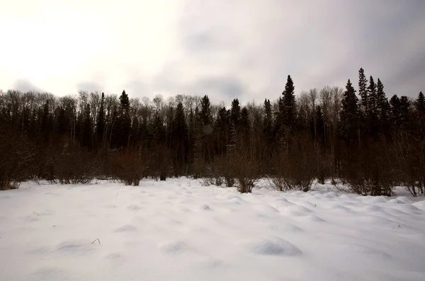 Schneeszene Winterlichen Kanada — Stockfoto