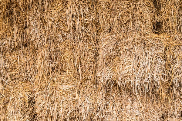 Stapel Van Stro Textuur Achtergrond Boerderij Rural — Stockfoto