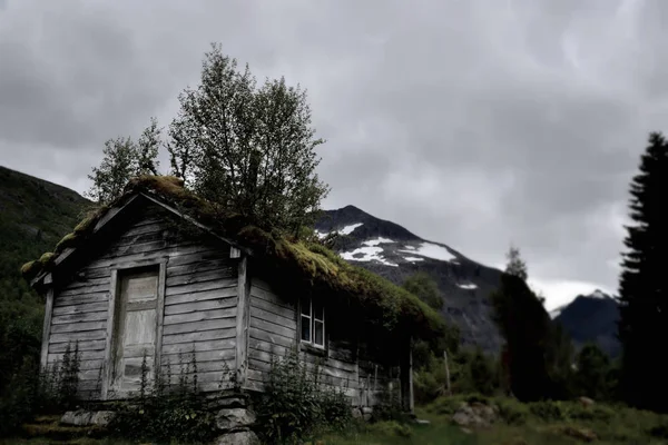 Old Cabin Norvegia Circa 100 Anni — Foto Stock