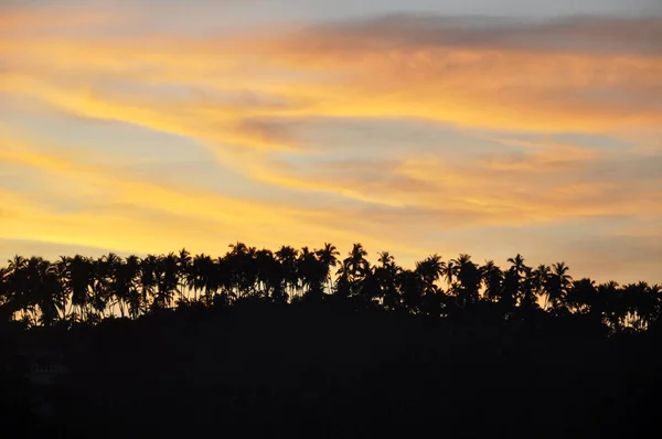 Silhouettes Palmiers Contre Ciel Spectaculaire Coucher Soleil — Photo