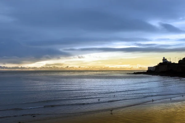 Uccelli Sulla Spiaggia Nella Contea Youghal Cork Irlanda Con Faro — Foto Stock