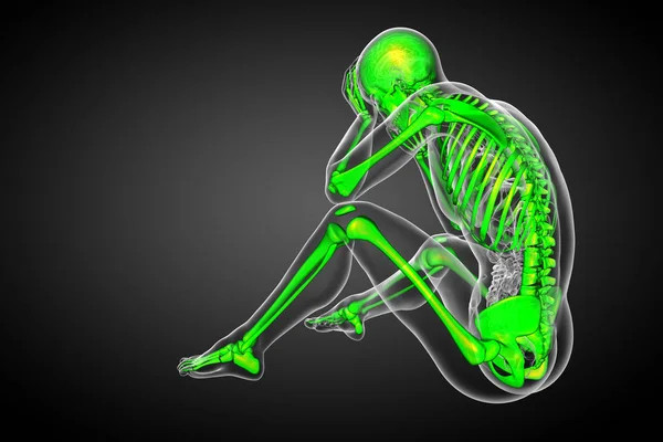スケルトンの骨 側面図の レンダリングの医療イラスト — ストック写真