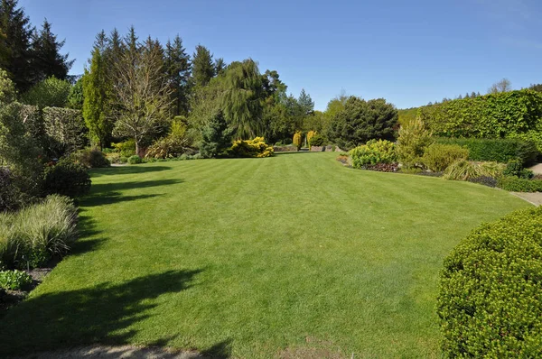 Hermoso Césped Jardín Estilo Inglés Tomado Rhs Rosemoor Torrington North — Foto de Stock