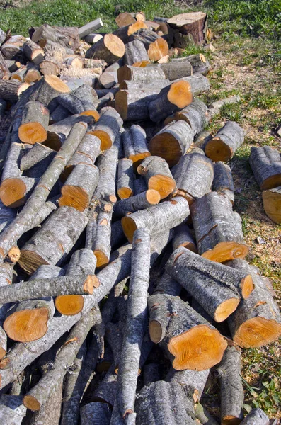 Fresh Alder Firewood Farm — Stock Photo, Image