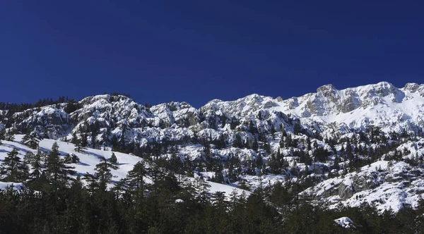 Türkiye Nin Orta Kesiminde Ağaçlı Karla Kaplı Dağlar — Stok fotoğraf