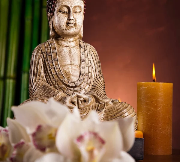 Porträt Einer Buddha Statue — Stockfoto