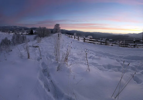 Valle Montañoso Los Cárpatos Cubierto Nieve Fresca Paisaje Majestuoso Ucrania — Foto de Stock