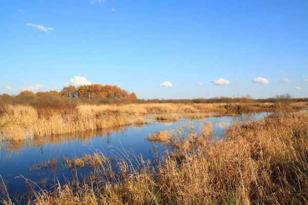 Nádherná Podzimní Krajina Dne — Stock fotografie