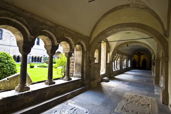 Detalhe Minster Medieval Bonn — Fotografia de Stock