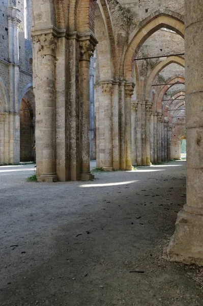 Une Impressionnante Belle Colonne Gothique Toscane — Photo