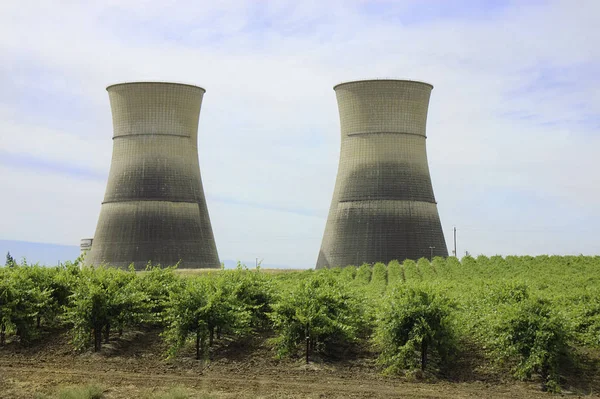 カリフォルニア州のブドウ園の原子力発電所 — ストック写真