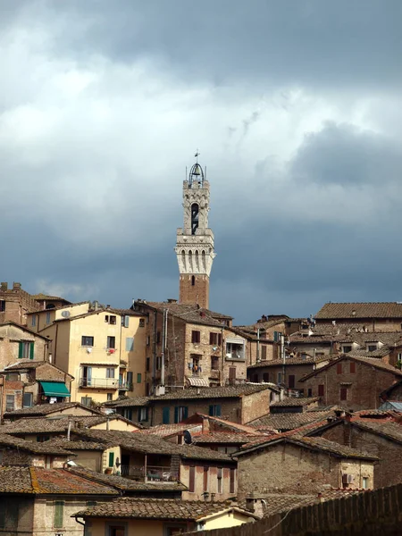 Siena Panorama Del Casco Antiguo Ciudad Con Una Torre Delgada — Foto de Stock