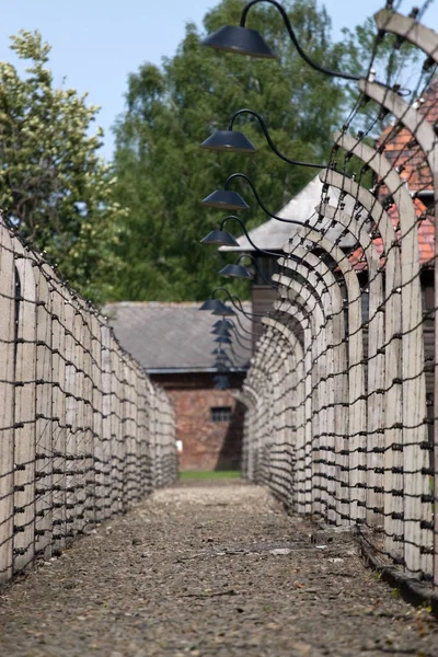 Szögesdrót Körülvevő Koncentrációs Tábor Auschwitzban Lengyelországban — Stock Fotó