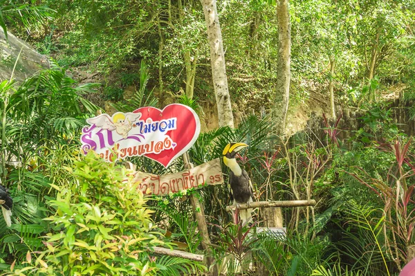 Tayland Güneydoğu Asya Doğal Manzaralar Egzotik Flora Fauna — Stok fotoğraf