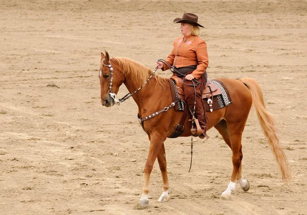 Mujer Vestida Con Ropa Occidental Montada Caballo Americano Saddlebred Western —  Fotos de Stock