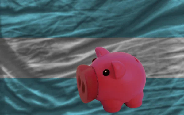 Piggy rich bank in front of national flag of argentina symbolizing saving and accumulating funds as good financial habit
