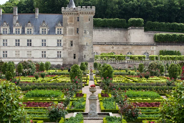 Zahrady Zámek Villandry Údolí Loiry Francii — Stock fotografie