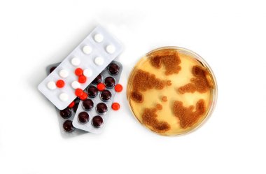 Penicillum fungi on agar plate that produce penicillin antibiotic clipart