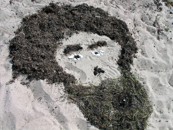 Plážové Umění Lidská Tvář Mořských Řas Kamenů — Stock fotografie