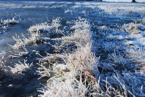 冬の美しい海 — ストック写真