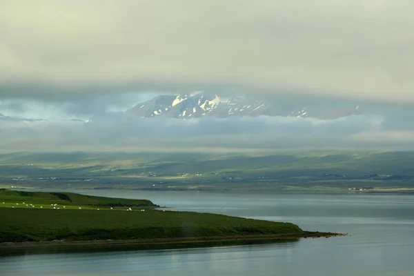 Landscape Ocean Mountains Fog Iceland — Stock Photo, Image