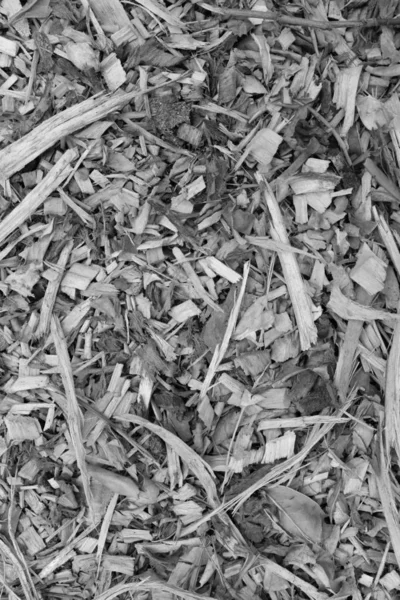 Bark Daun Dan Chippings Kayu Mulsa Sebagai Tekstur Latar Belakang — Stok Foto