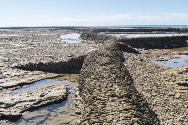 Punta Candor Beach Rota Cadiz Spain Fishing Weir Fish Weir — Stock Photo, Image