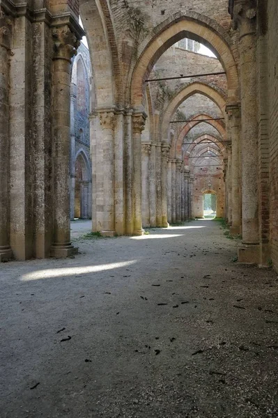 Une Impressionnante Belle Colonne Gothique Toscane — Photo