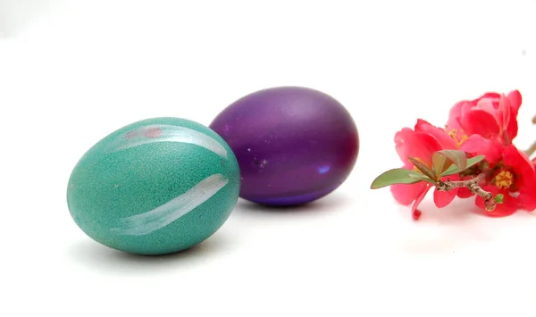 Oeufs Colorés Pâques Isolés Sur Fond Blanc — Photo