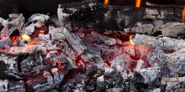 Steenkool Hout Van Verbranding Een Oven — Stockfoto