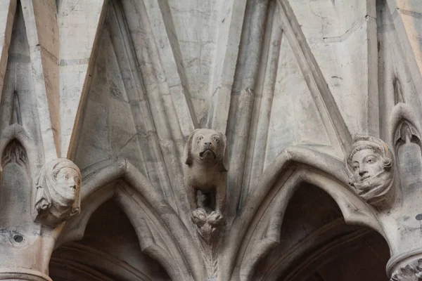 Cane Arcivescovo Pietra Muro Cattedrale York Minster — Foto Stock