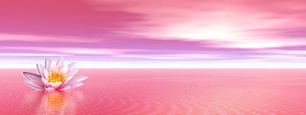 Giglio Rosa Fiore Nell Oceano Rosa — Foto Stock