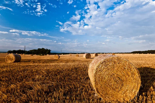 Strohballen Aus Weizen Nach Der Ernte — Stockfoto