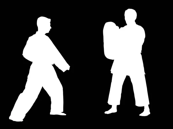 Silhouetten Van Twee Karate Vechters Training — Stockfoto