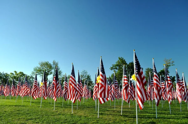 Amerikai Zászlók Juharfalevél All Sor — Stock Fotó