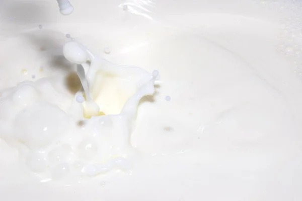 Droppar Mjölk Som Plaskade Färsk Mjölk — Stockfoto