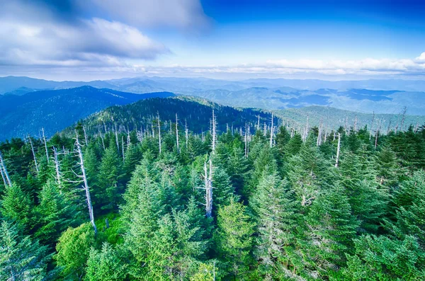 Great Smoky Mountains Tetején Kupola Clingman Barátait Széles Látképe — Stock Fotó